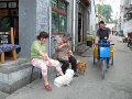 Beijing (140)